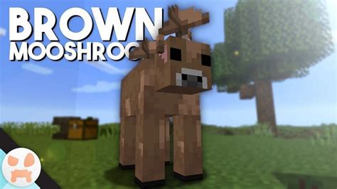 Minecraft Cow Spawn ~ Spawn Daisy 9minecraft Biomes Cornflower Flowery ...