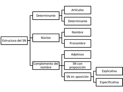 Partes Del Sintagma Nominal