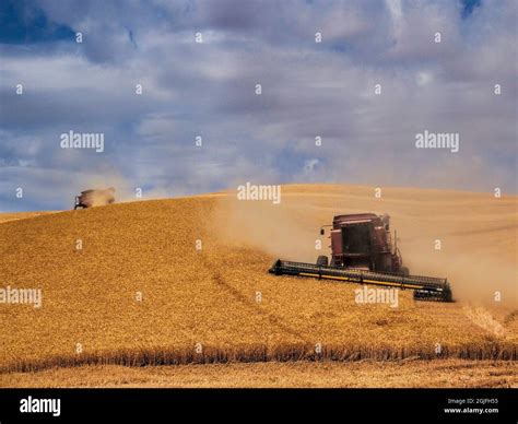 USA, Washington State, Palouse. Combines working during harvest Stock ...