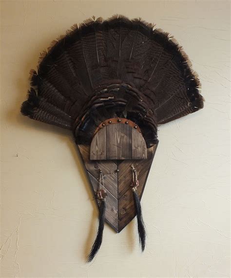 Awasome Turkey Fan Mount Ideas References