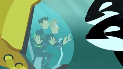 “This Orca Likes Sharks” is the 20th episode of Season 4 of the PBS ...