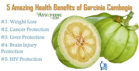 Amazing Health Benefits of Garcinia cambogia | Garcinia cambogia, Cambogia, Garcinia