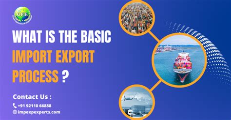 Basic Import Export Process | Impexperts