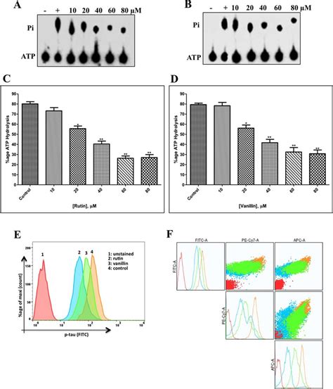 ATPase enzyme inhibition and tau-phosphorylation assay of MARK4. (A,B ...