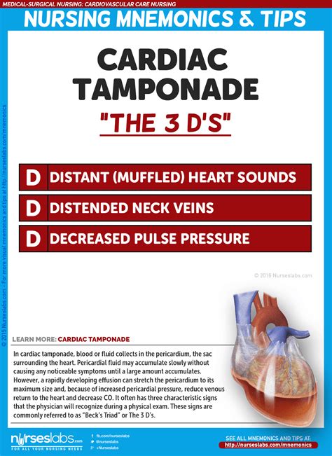 Cardiovascular Care Nursing Mnemonics and Tips - Nurseslabs