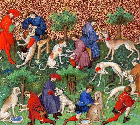 𝕱𝖊𝖉𝖊𝖗𝖎𝖈𝖆 ️💛🐺🐈‍⬛ on Twitter: "RT @WeirdMedieval: dog healthcare, france, 15th century"
