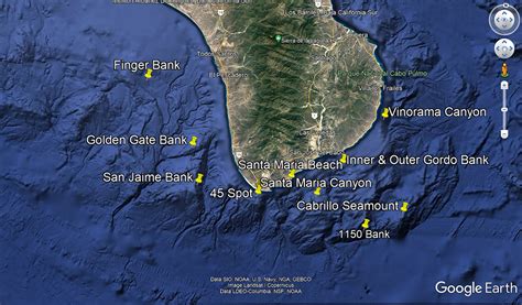 Cabo San Lucas: Marlin Seamount Hotspots - InTheBite