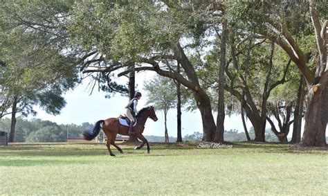 Majestic Oaks Ocala | Our Farm, Your Fun | Florida