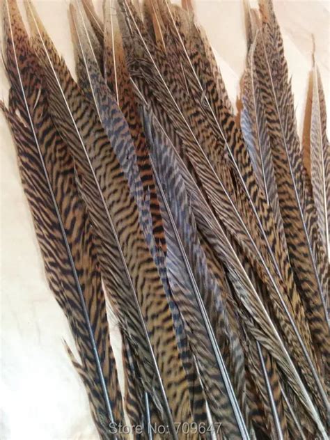 50PCS/LOT!65 70CM 26 28Inches Nature Long Golden Pheasant Feathers,Golden Pheasant Tail Sides ...