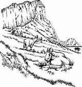 31 Mountain Goat Coloring Pages Ideas  mountain goat coloring sketch template