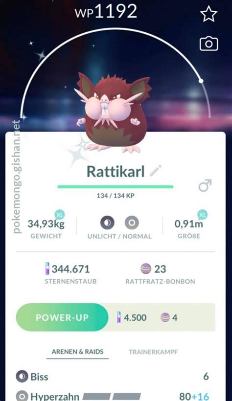 Shiny Raticate - Pokemon Go