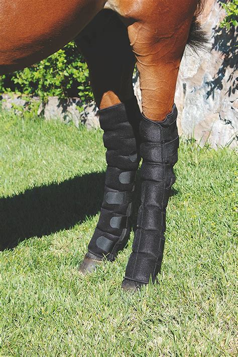 Best Ice Boots For Horses - Best Horse Gears