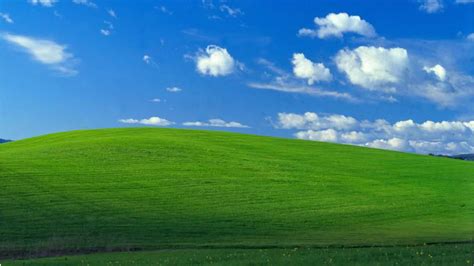 Iconic Windows XP background is photo of Sonoma County hillside - ABC7 San Francisco