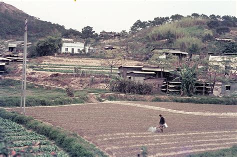 Sha tin,1966 | the slide says " Shatin valley taken from lod… | Flickr