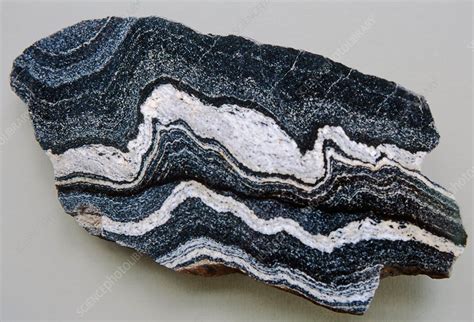 Folded strata in gneiss rock - Stock ... | Gneiss, Minerals crystals rocks, Metamorphic rocks