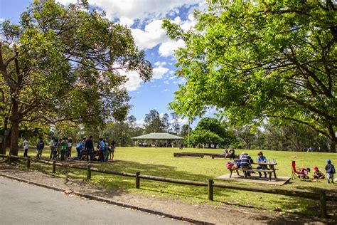 Parramatta Park | Names inspired by Parramatta Park’s Aboriginal history