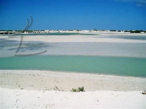 El Cuyo Beaches (Mexico): Top Tips Before You Go - TripAdvisor