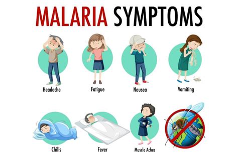 Malaria Causes, Symptoms, and Treatment - Regency Medical Centre