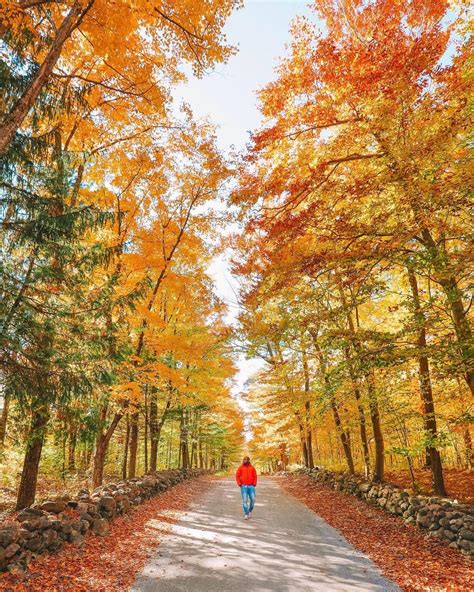 Gatineau Park in fall colours (Quebec) by Hand Luggage Only ...