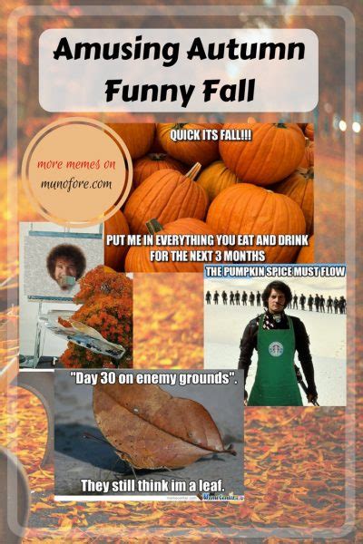 Amusing Autumn Memes plus Friday Frivolity - Munofore