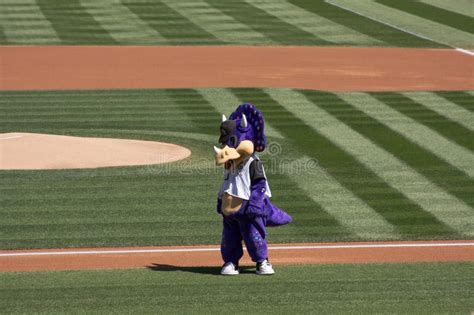 Colorado Rockies Mascot editorial stock photo. Image of editorial - 14635823