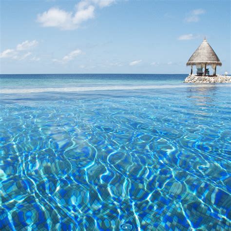 TAJ CORAL REEF RESORT & SPA, MALDIVES - THE LUXURY TRAVEL CLUB