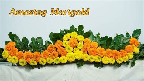 Amazing Marigold Flower Arrangement beautiful ,DIY flower |Eps 178