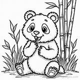 Panda Coloring Paper sketch template