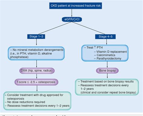 Figure 1 from Treatment of osteoporosis in patients with chronic kidney disease | Semantic Scholar