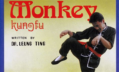 Drunken Monkey Kung Fu - Kung-fu Kingdom