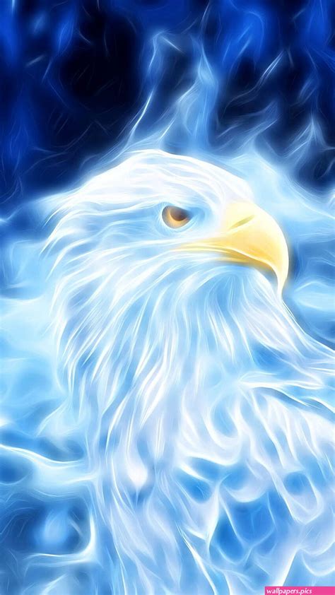 Bald Eagle Aesthetic Wallpapers | Wallpapers.Pics