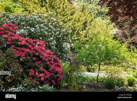 Fyvie Castle & Garden Stock Photo - Alamy