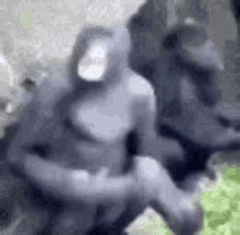 Monke Crasy GIF - Monke Crasy - Discover & Share GIFs