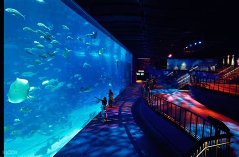 Book SEA Aquarium, Sentosa, Singapore Ticket Online