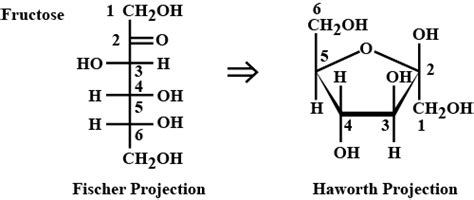 Haworth Structure Of Alpha D Fructose Fruct Blog | My XXX Hot Girl