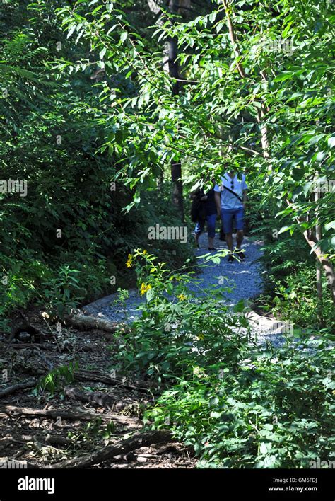 Central Park, New York. August 22, 2016. Hallett Nature Sanctuary, open ...