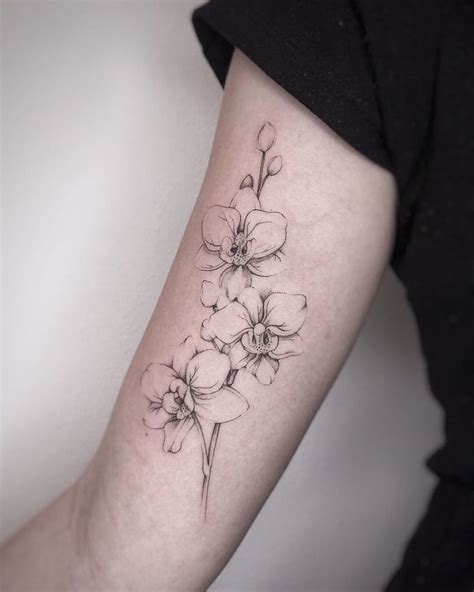 Fineline orchids tattoo @dagmarderksen at BlackBear ink in 2023 | Orchid tattoo, Orchid flower ...