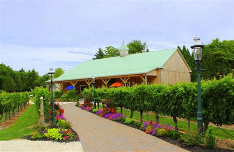 Cape May Winery & Vineyard | Cape may winery, Cape may, Winery