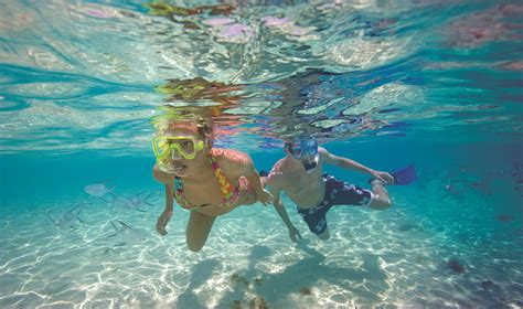 Top Cozumel Snorkel Tours For Viewing Fish and Coral Reefs