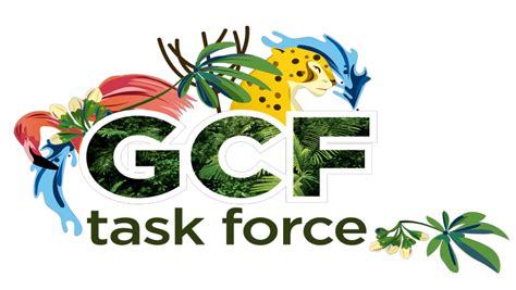 Countdown to 13th Annual Meeting of the GCF Task Force in Yucatan ...