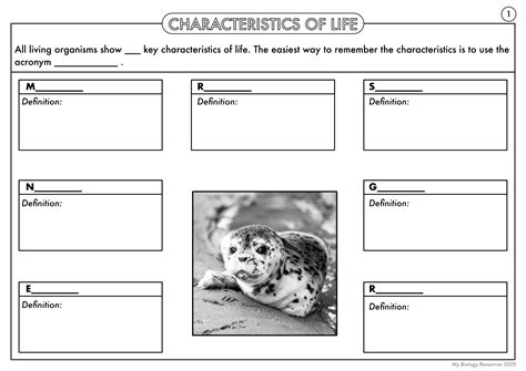 GCSE Biology: Characteristics of Life (MRS GREN) Worksheet Pack ...