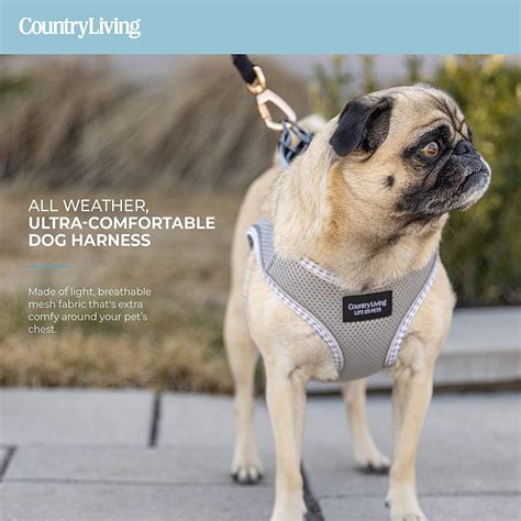 Step-In Dog Harness - Grey - Your Modern Pet Products