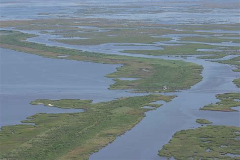 Free picture: aerial, marsh, swamp, landscape