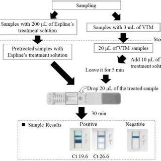 Rapid antigen testing procedures | Download Scientific Diagram