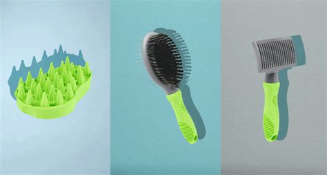 Your Guide to the Best Dog Brushes to Groom Your Pet | BeChewy