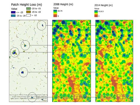 LiDAR Change Detection: Coupling remote sensing with permanent plot ...