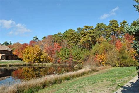 New Jersey Fall Foliage - 92.7 WOBM