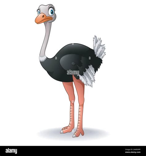 Ostrich Dance Cartoon