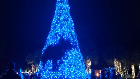 Riverbanks Zoo LED Christmas Tree at Lights Before Christmas - YouTube