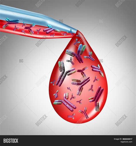 Antibody Therapy Image & Photo (Free Trial) | Bigstock